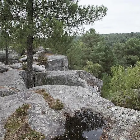 Le Choriste De Blo - Hypercentre * Fontainebleau