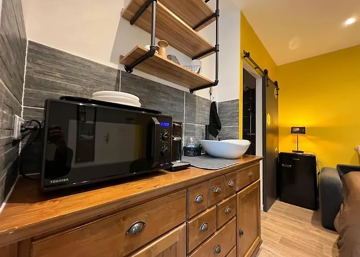 Le Choriste De Blo - Hypercentre Appartement *