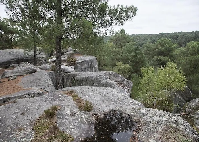 Le Choriste De Blo - Hypercentre * Fontainebleau