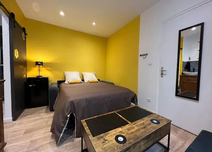 Appartement Le Choriste De Blo - Hypercentre Fontainebleau